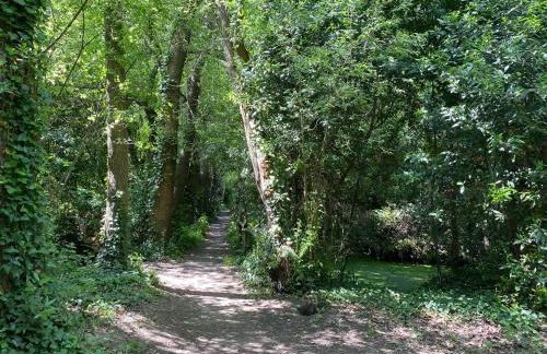 La petite maison zone coulée verte menant a l'océan - Photo 31