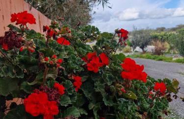 Herdade Monte Gordo - Foto 16