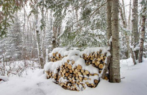 Nashwauk Studio with Ice Fishing on South Fork Lake - Foto 22