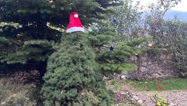 Angel House Greystone Villa Polydrossos - Foto 2