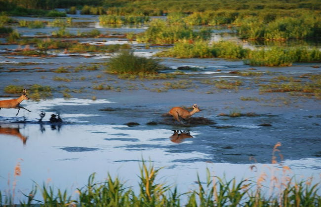 Studio in Dargun With Pool Near Lake Kummerow - Foto 30