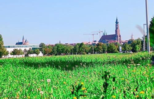 GADD Ferienwohnung # 002 Glück an der Donau # Best Elegant Suite 24#7 Check in - Foto 43