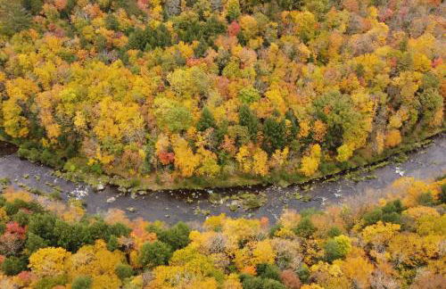 Timber Riverhouse - Foto 54