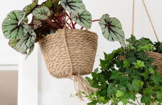 BOTANIC GUESTHOUSE ESTE - Foto 27