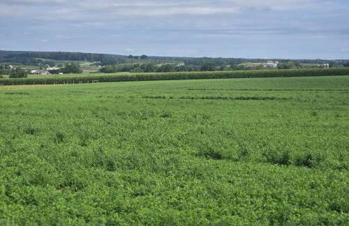 Amish Country Stay w/ Buggy Ride - Foto 10