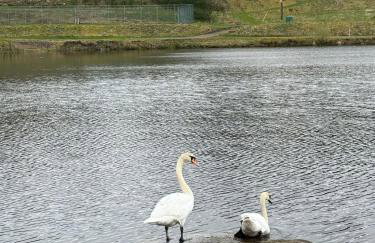 Wallace Lodge - Foto 43