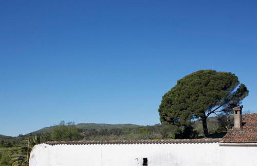 La Grulla Gris - Foto 32