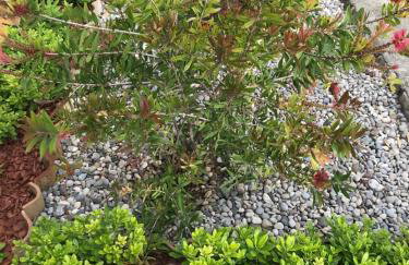 Sweet Dreams - Studio Apartment - Photo 7