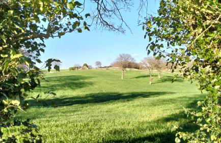 Trullo Dimora Podere Papilio - Foto 46