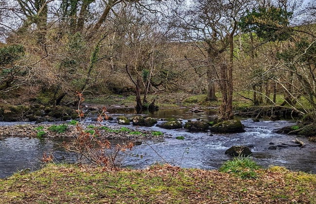 Crib Goch Cozy Dog-friendly Cabin Retreat - Photo 4