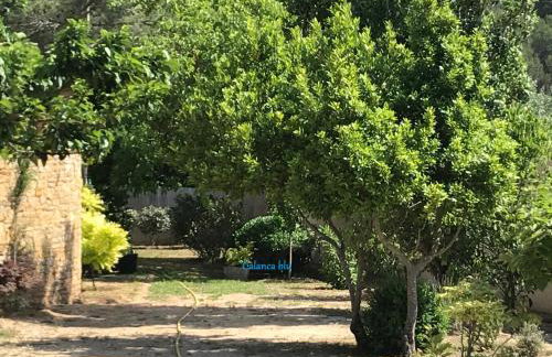 Calanca blu : grand appartement - Foto 40