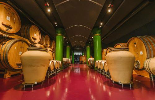 Garesio Wine Resort - Foto 45