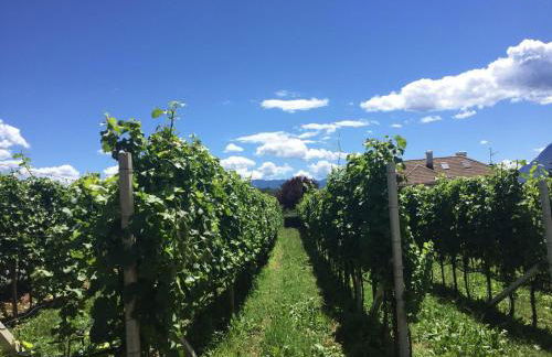 Lochererhof - Foto 70