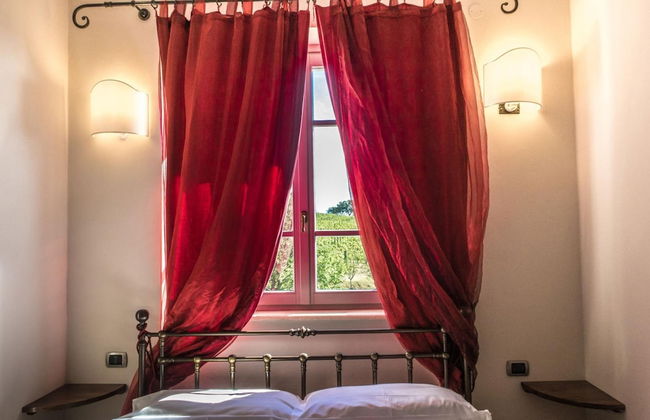 Bio Agriturismo Poggio Aione - Foto 11