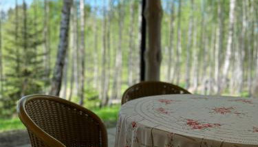 Leśne Klimaty - Foto 5