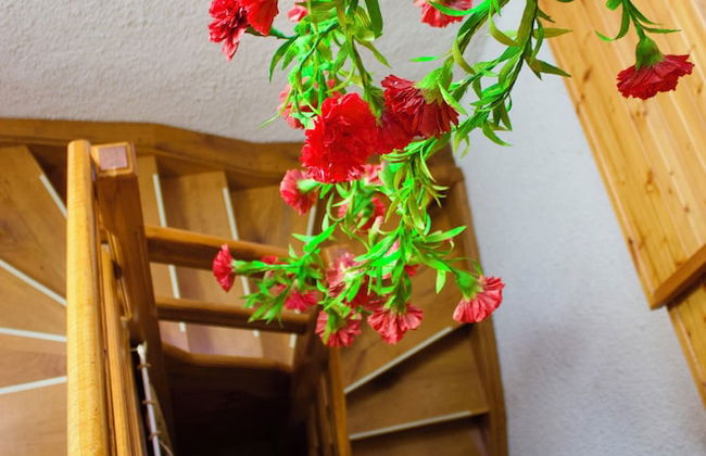 Apartma Pohar- A Bit Different! - Foto 35