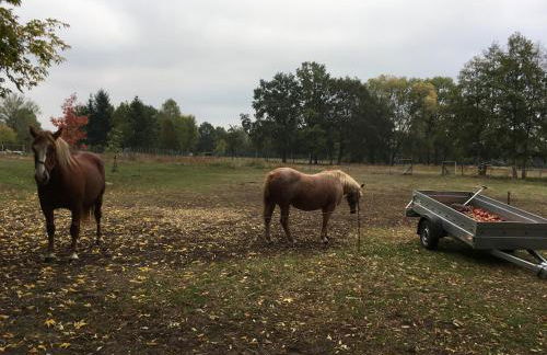 Fischer´s Häuschen - Foto 32