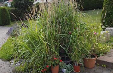 Ferienwohnung am Rennsteig bei Eisenach - Ilona Schmidt - Foto 11