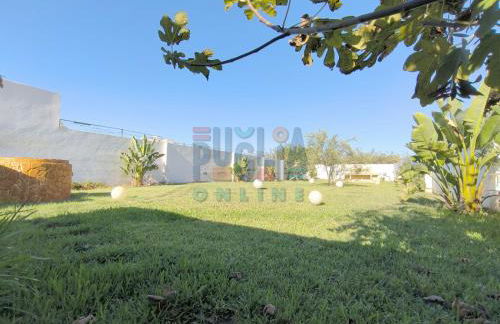 Appartamento La Torre Primo Piano Vista mare Puglia On line - Foto 37