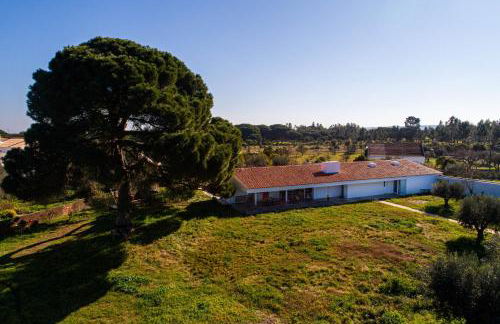 Villa do Pinheiro - Foto 7