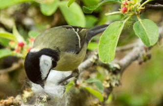 Room with a view - Photo 41