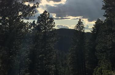 Priceless Black Hills View - Foto 48