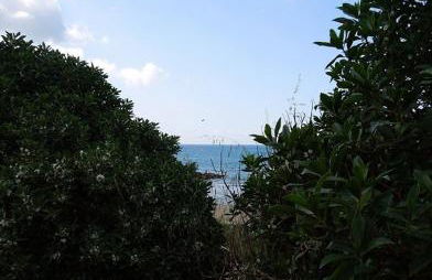 Villa Cipollazzo - Foto 24