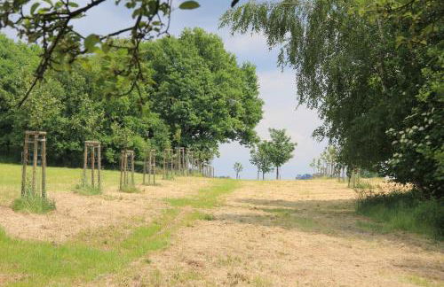 Apfelscheune Cannewitz - Foto 72