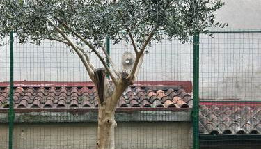 Lanternone nel Borgo - Appartamento di Charme con Giardino - Foto 4, Garden