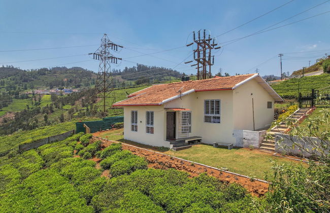 The springs Nilgiris - Foto 13