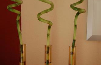 Ferienwohnung Sonnenschein - Foto 10