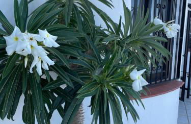 Villa Ladera Panorama - private heated pool - Foto 10