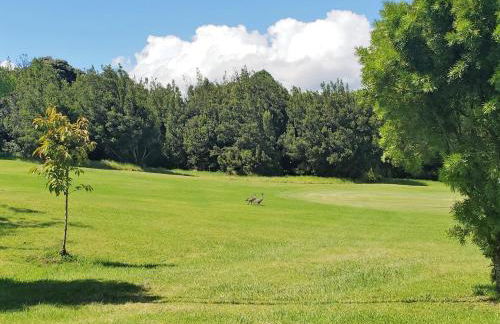 Ferns & Frogs Forest Hale 3 Bedroom Home by RedAwning - Foto 28