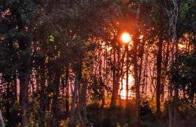 PINEA BALTIC - Double Sea View - Apartment z widokiem na morze - Photo 22