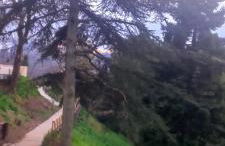 La Casa del Gallo - Foto 58