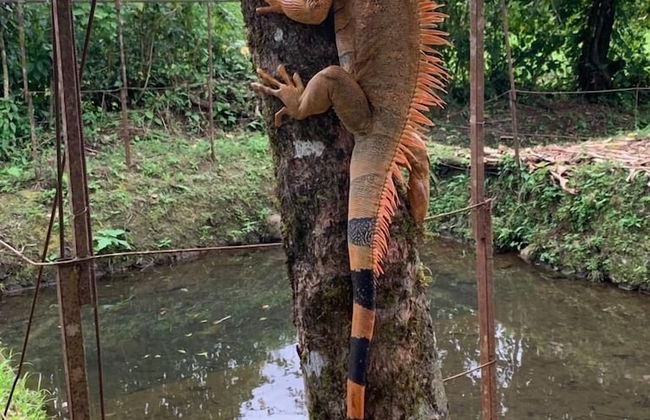 TIPS Vacation - Foto 50