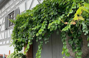 Ferienwohnung Sambachhaus - Foto 6