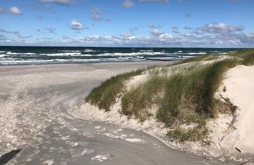 Arne - Ferienwohnung auf Hiddensee - Foto 13