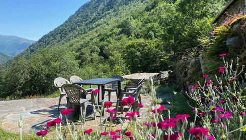 Grange rénovée, Pyrénées Ariégeoises, Gîte haute Ariège - Foto 4, Garden