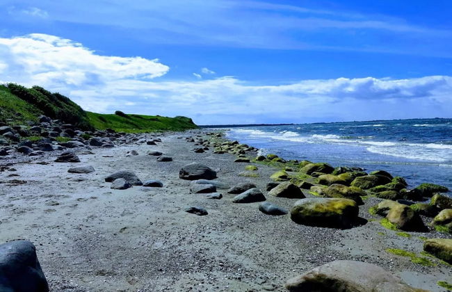 4 Person Holiday Home in Store Fuglede-by Traum - Foto 33