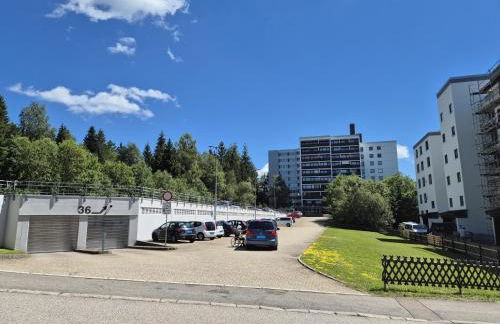 FeWo Schwarzwald von oben - Kniebis - Foto 12