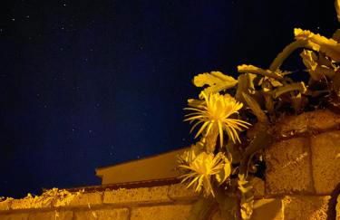 Casa Mariet - Foto 36