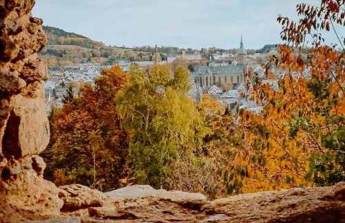 Ferienwohnung zum Schreckenberg - Foto 16