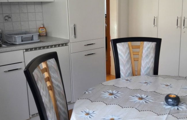 XXXTgèsa Hirundella - Foto 13