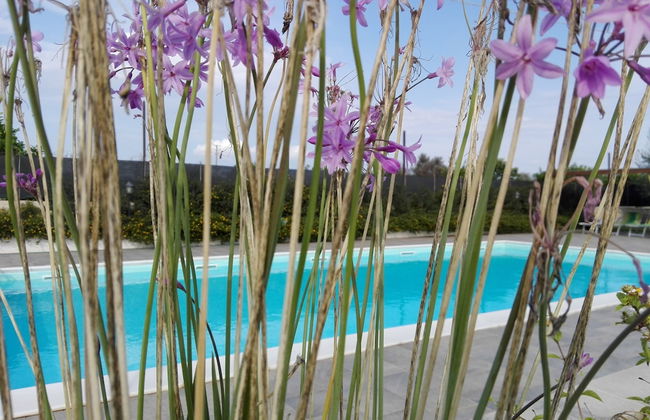 Agriturismo Terra dei Limoni - Foto 57