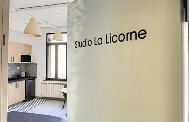 La Licorne, grand studio chaleureux - Foto 10