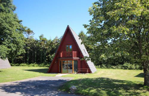 Lodges in Lanivet Cornwall with indoor pool - Foto 43