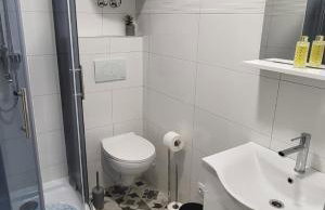 Apartman Belina - Photo 11