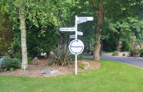 Bumbeldink - Foto 69