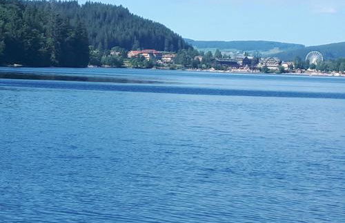 Haus Heidelberg - Foto 79